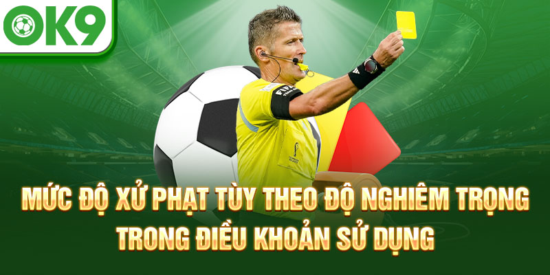 Mức độ xử phạt tùy theo độ nghiêm trọng trong điều khoản sử dụng
